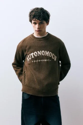 Pull autonome marron